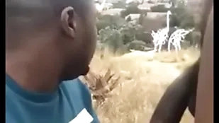 South african open-air
