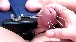 Cock skewering precedent-setting cbt - 7 needles & cumshot all over squeezed boloney