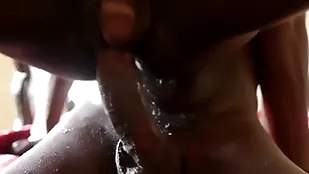 Cockblowing ebony twink fingered winning bareback mating
