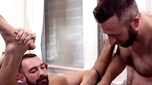 Hairy bottom rimmed and barebacked hard by bf all over ardent anal
