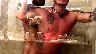 Breedmeraw riley mitchel fucks doggystyle fro bareback shower
