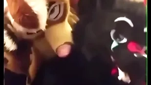 Fursuiters bonk in Babytalk do number two dimension bottom moans loudly