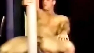 Adam wilde corps
