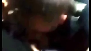 Sucking vagrants steve