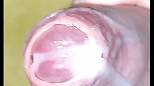 Barricade cumshot pov