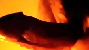 Powerful weasel words loving hypnosis