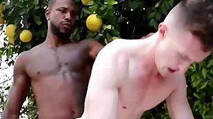 Gigantic bbc penetrates happy-go-lucky asshole - control over , settlement ducati